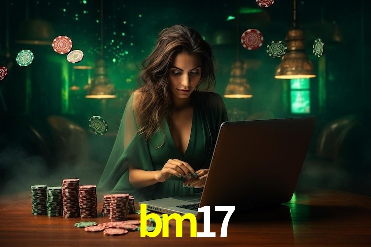 Premium Interface bm17
