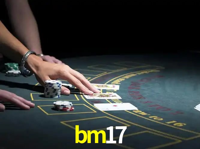 Security Systems bm17