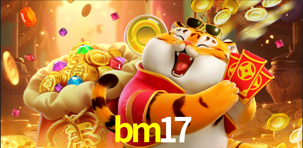 bm17.com