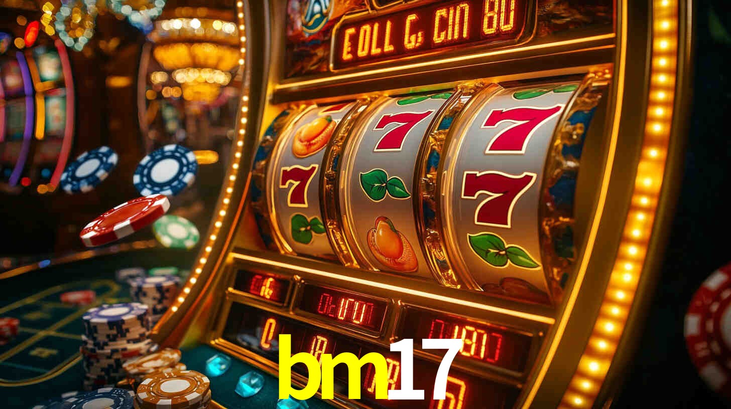 bm17 App Interface